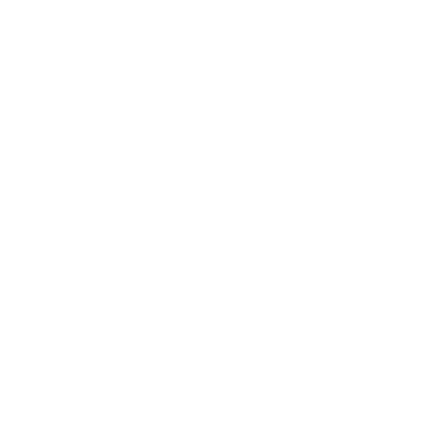 Find Your Holster